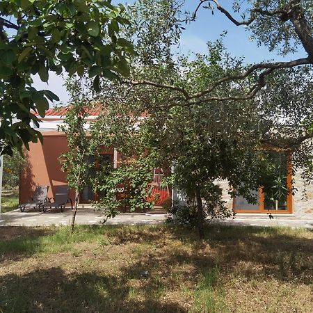 Elea Stone Houses In Organic Quiet Olive Grove, Prinos, Thassos Kamer foto