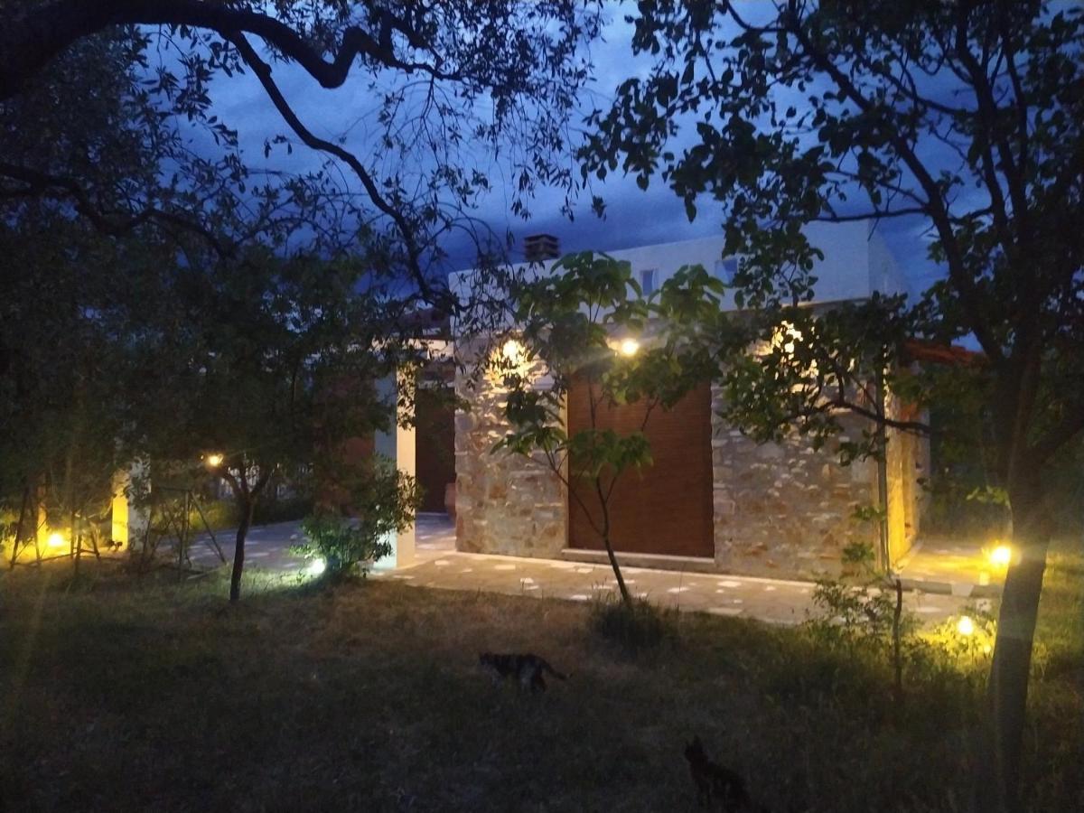 Elea Stone Houses In Organic Quiet Olive Grove, Prinos, Thassos Buitenkant foto
