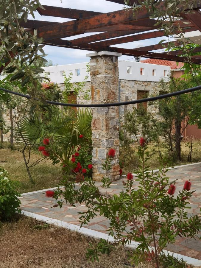 Elea Stone Houses In Organic Quiet Olive Grove, Prinos, Thassos Buitenkant foto