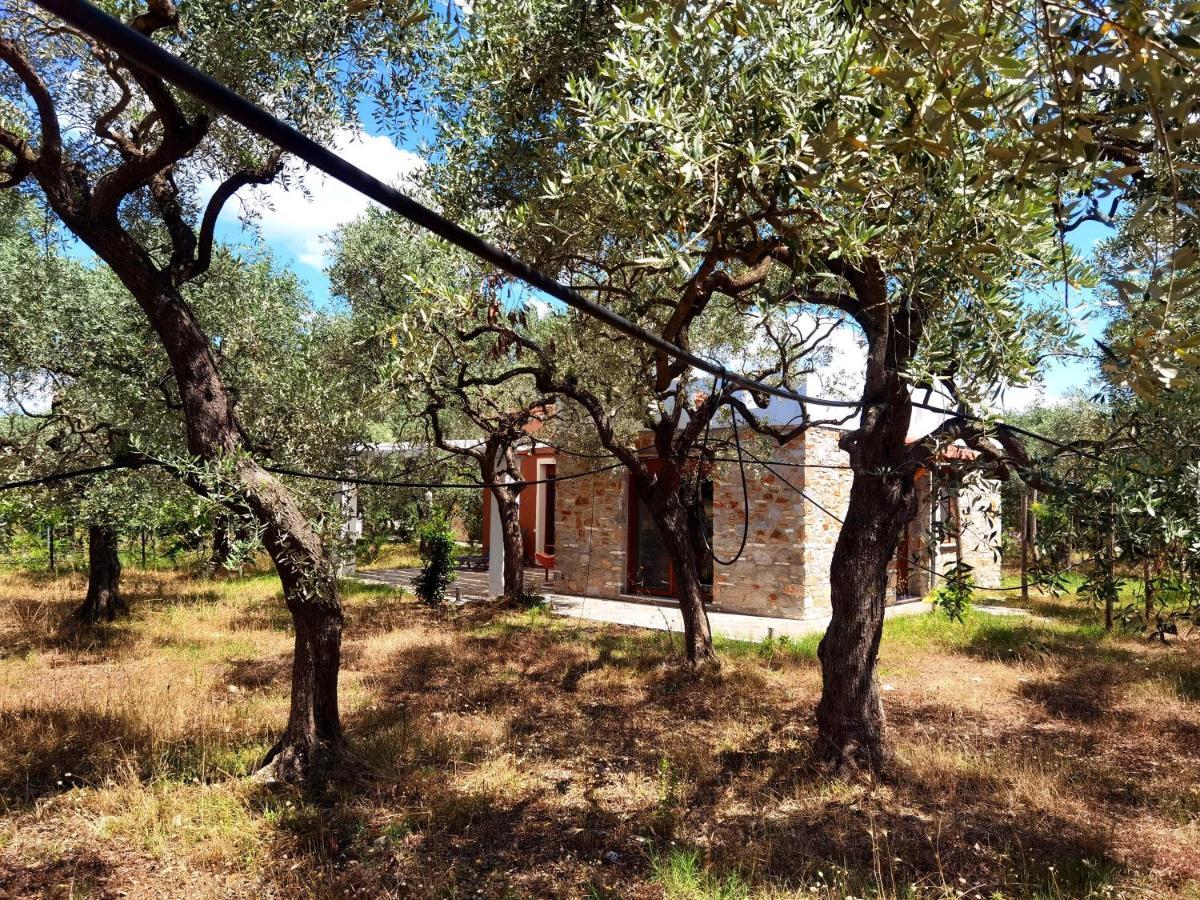 Elea Stone Houses In Organic Quiet Olive Grove, Prinos, Thassos Buitenkant foto