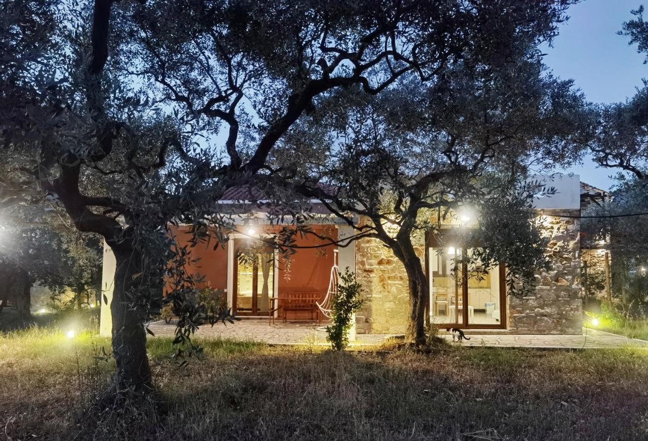 Elea Stone Houses In Organic Quiet Olive Grove, Prinos, Thassos Buitenkant foto