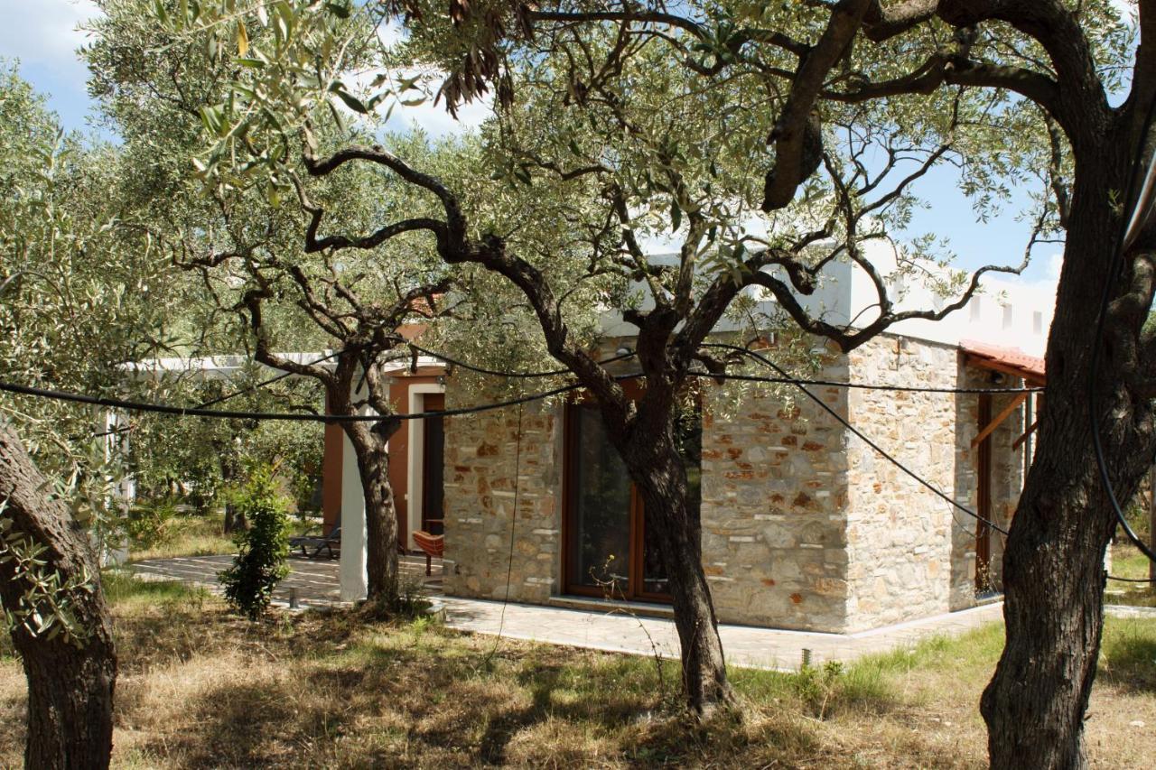 Elea Stone Houses In Organic Quiet Olive Grove, Prinos, Thassos Buitenkant foto