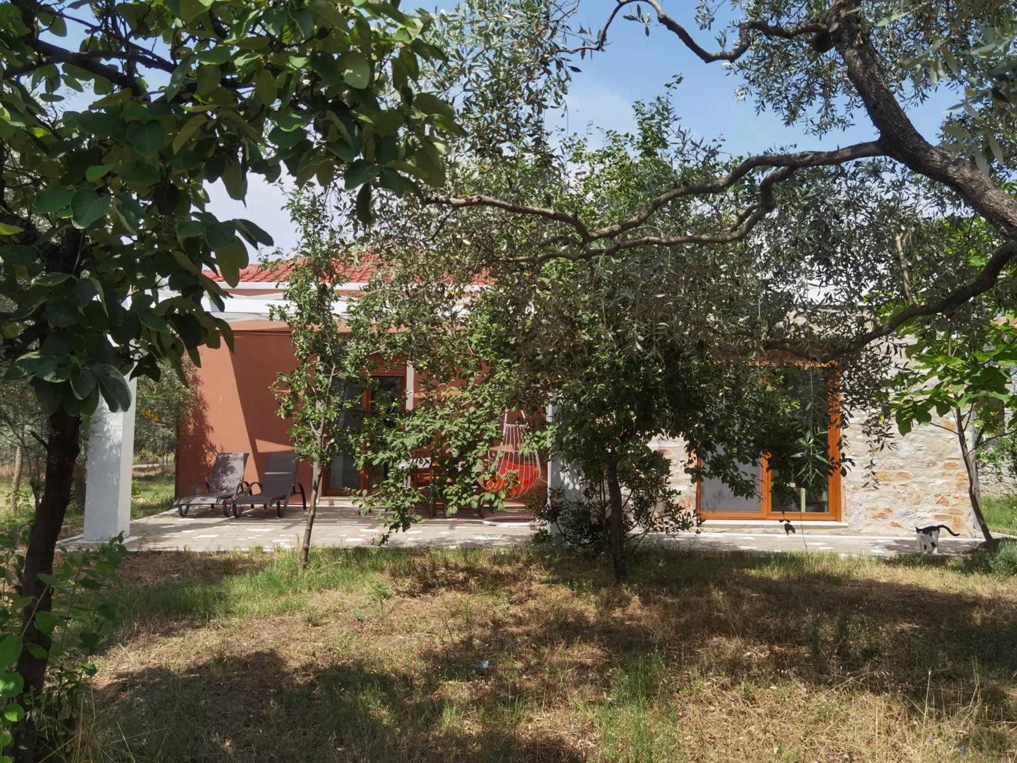 Elea Stone Houses In Organic Quiet Olive Grove, Prinos, Thassos Kamer foto
