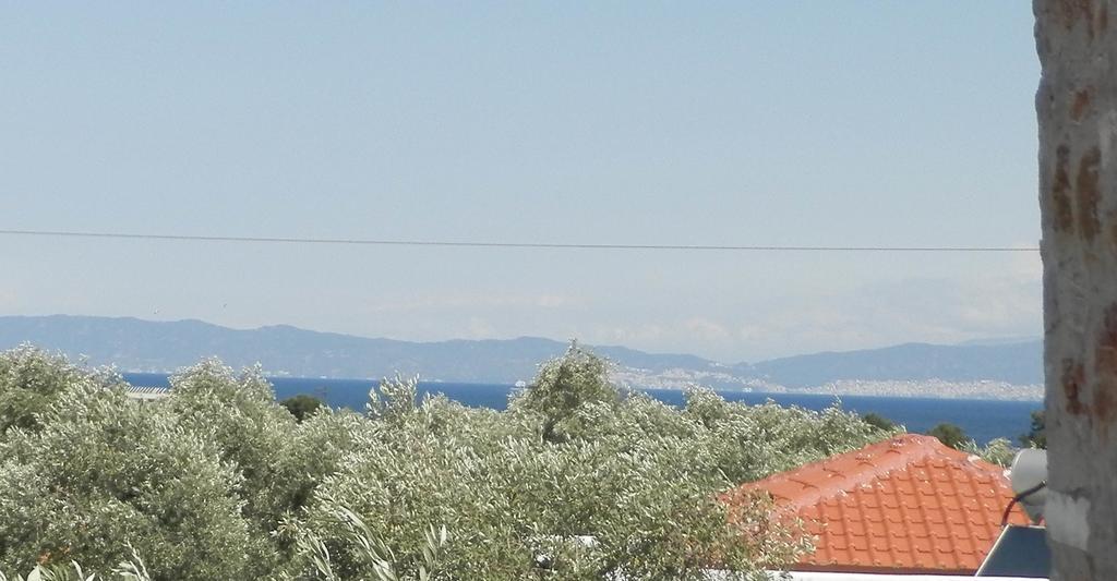 Elea Stone Houses In Organic Quiet Olive Grove, Prinos, Thassos Buitenkant foto