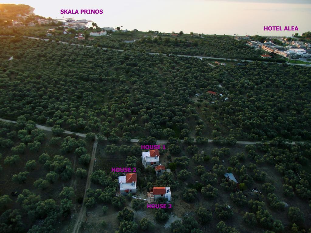 Elea Stone Houses In Organic Quiet Olive Grove, Prinos, Thassos Buitenkant foto