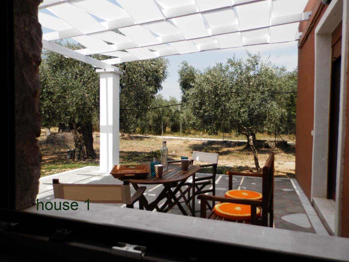 Elea Stone Houses In Organic Quiet Olive Grove, Prinos, Thassos Buitenkant foto