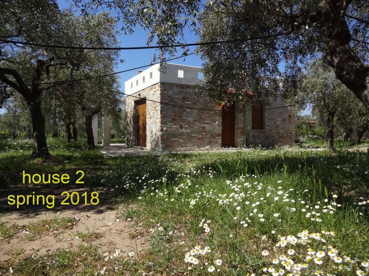 Elea Stone Houses In Organic Quiet Olive Grove, Prinos, Thassos Buitenkant foto