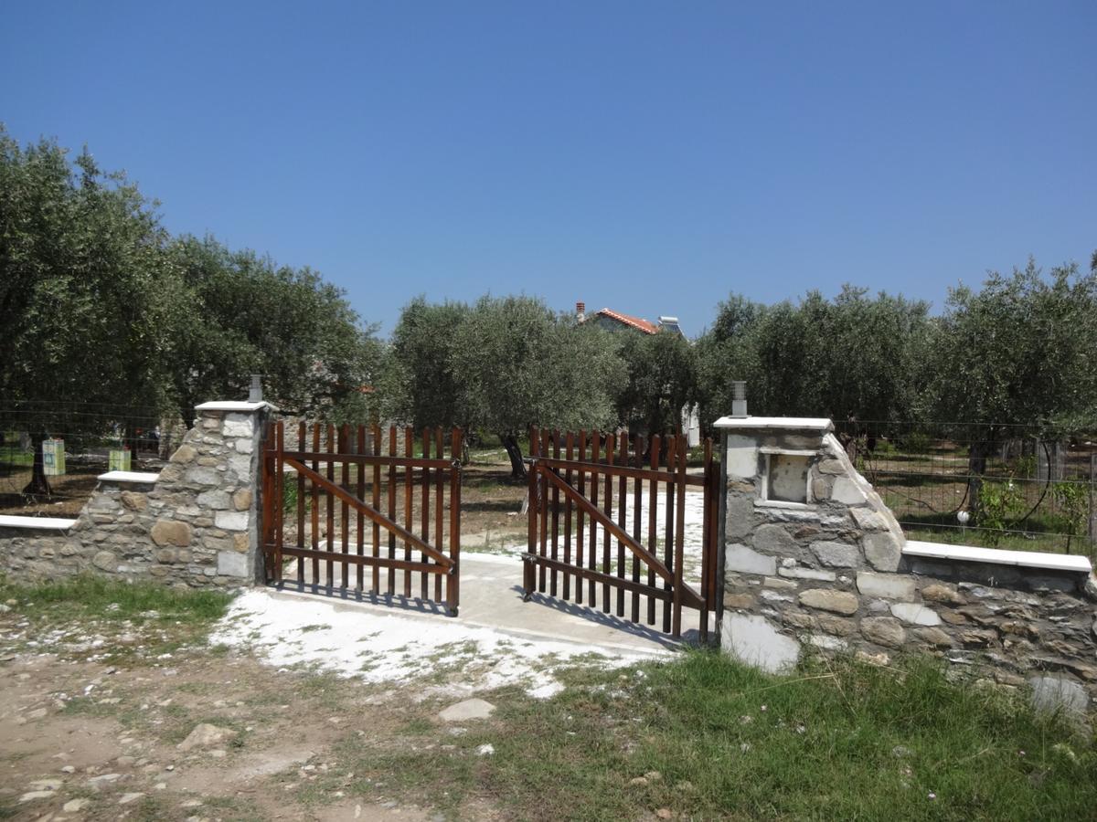 Elea Stone Houses In Organic Quiet Olive Grove, Prinos, Thassos Buitenkant foto
